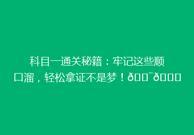 科目一通关秘籍：牢记这些顺口溜，轻松拿证不是梦！🎯📚