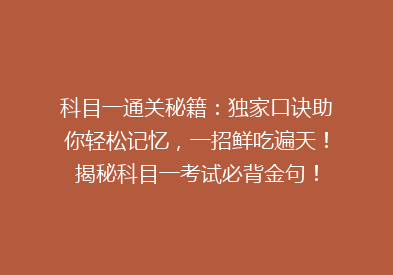 科目一通关秘籍：独家口诀助你轻松记忆，一招鲜吃遍天！揭秘科目一考试必背金句！